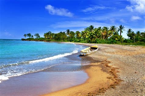 Jamaica .